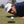 Hitpin Pro 59 Tour Cap White