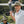 Hitpin Pro 59 Tour Cap Beige